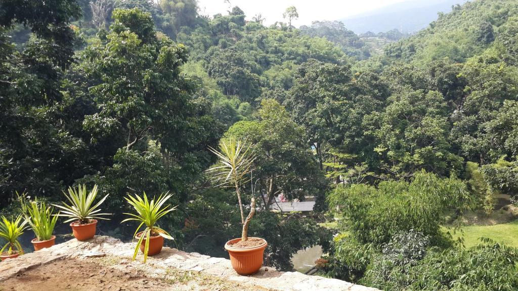 Bantal Guling Villa Lembang Exterior foto